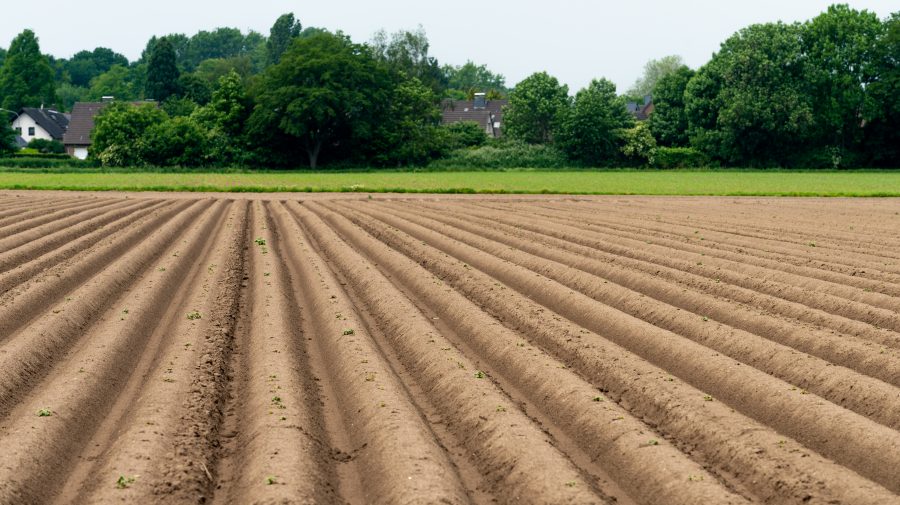 Tehnologia vine în ajutorul agricultorilor. Startupul care dezvoltă tractoare robotizate electrice