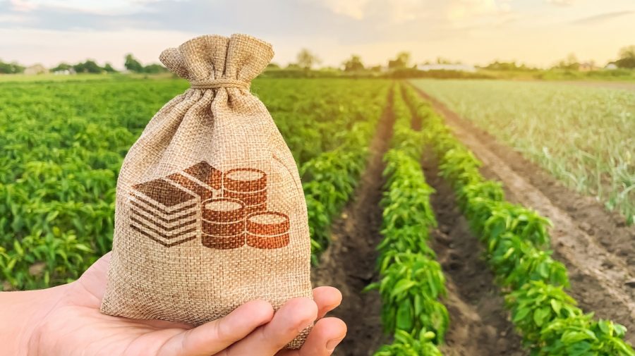„Performanța” subvenționării în agricultură! Doar două din zece dosare acceptate pentru finanțare
