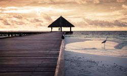 De ce să mergi în vacanță în Maldive? Țara va oferi turiștilor vaccin împotriva COVID-19