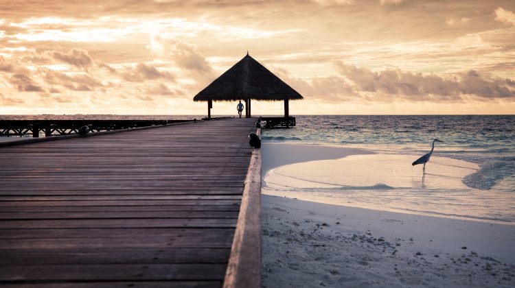 De ce să mergi în vacanță în Maldive? Țara va oferi turiștilor vaccin împotriva COVID-19