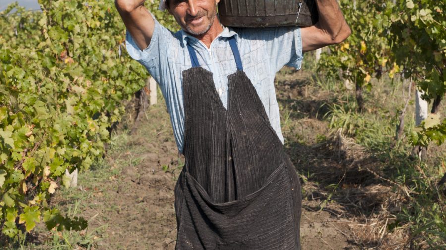 (FOTO) Povestea familiei cu o vinărie în Moldova. Acum au 360 de hectare podgorii, 2,5 mln l de vin și 60 de angajați