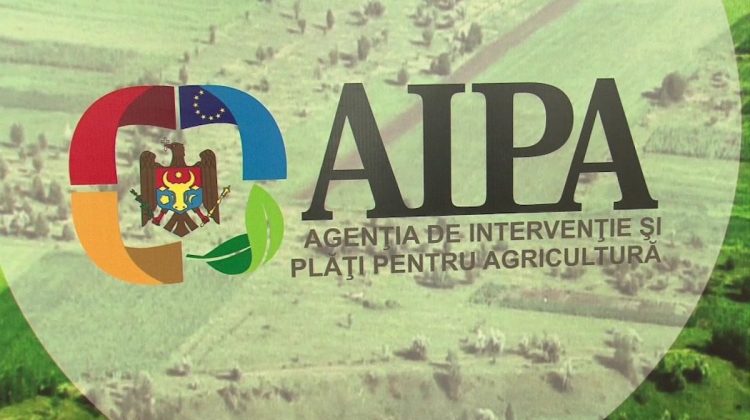 Primele declarații ale AIPA cu referire la perchezițiile CNA