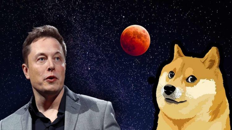 Elon Musk pune bazele comerțului interplanetar. Un satelit SpaceX, finanţat prin Dogecoin, va ajunge pe lună