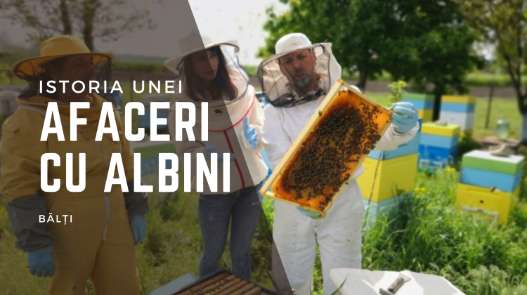 Istoria unor apicultori de la Bălți. Cum au beneficiat de subvenții în avans de 650.000 lei, pentru extindere