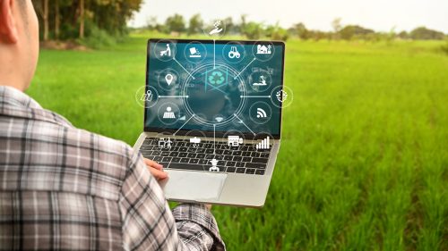 IT-iștii câștigă de 3,6 ori mai mult decât agricultorii! Salariul mediu a trecut de 15 mii de lei