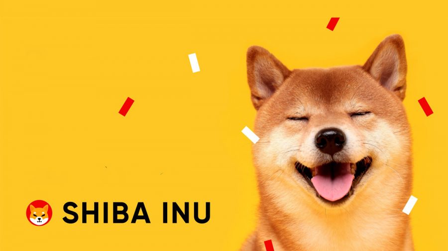 Influența lui Elon Musk: Câinii Shiba Inu sunt la mare căutare, datorită unui tweet al miliardarului și Dogecoin