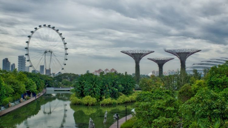 (FOTO) Câte un parc la 10 minute de fiecare casă. Singapore și strategia de „reînviere” a biodiversității