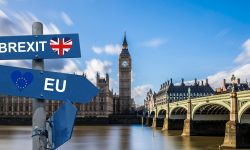 Efectul Brexit și COVID-19: Exporturile de alimente și băuturi din Marea Britanie către UE s-au redus la jumătate
