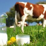 Control total asupra laptelui importat din Ucraina: fiecare lot va fi testat la sânge de ANSA