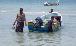 Comoară de 1,5 milioane de dolari în stomacul unui cașalot mort. Ce au descoperit pescarii din Yemen