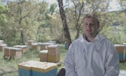 Apicultor: Pregătirea exportului de miere necesită mulți bani, efort și timp