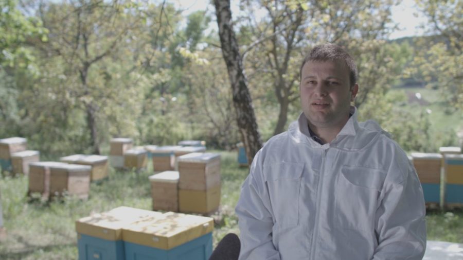 Apicultor: Pregătirea exportului de miere necesită mulți bani, efort și timp