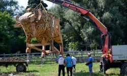 (FOTO) O nou atracție pentru vizitatorii Pădurea Domnească! A fost instalat un zimbru imens „asemeni Calului Troian”