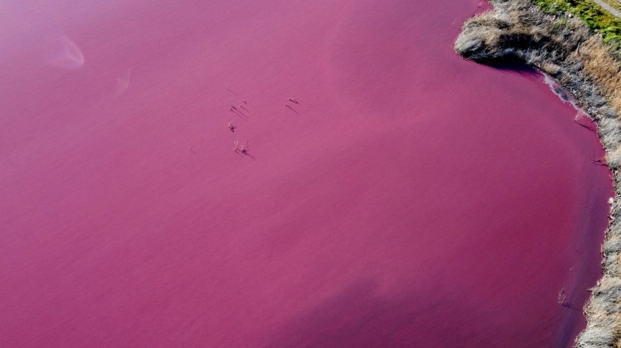 (VIDEO) Un lac din Patagonia a devenit roz peste noapte: culoarea se menține deja câteva zile. Cum s-a întâmplat