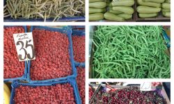 (FOTO) Castraveții – mai ieftini! Prețurile la Piața Centrală pentru fructe și legume
