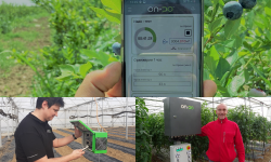 Un startup bulgar face sisteme de irigații asistate de aplicație mobilă. 15 ferme folosesc deja soluțiile inteligente