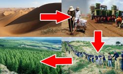 (VIDEO) Metoda inedită prin care China transformă deșerturile în terenuri arabile și păduri. Ce rezultate obțin?