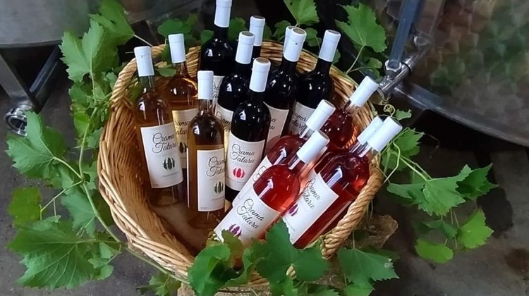 O nouă cramă în Moldova – mic producător de vinuri care a rezistat crizei și a deschis o cramă pentru turiști