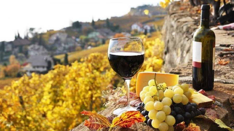 Cu ce provocări se confruntă sectorul vitivinicol? Ce spun producătorii din domeniu