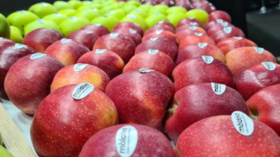 Producătorii moldoveni vor să cucerească India cu mere! Au fost exportate primele cinci containere