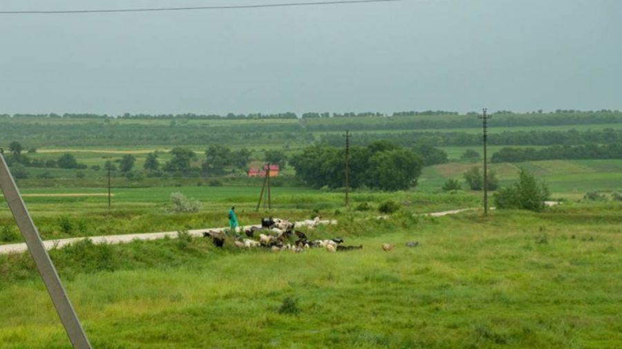 FAO sprijină micii fermieri din Moldova să-și sporească reziliența și productivitatea. Suma necesară pentru proiect