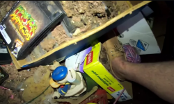 (VIDEO) „Comoară” de 100.000 de dolari, descoperită într-o cameră abandonată