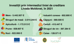Horticultorii au accesat credite în valoare de peste 12,6 milioane de euro, de la începutul anului 2021
