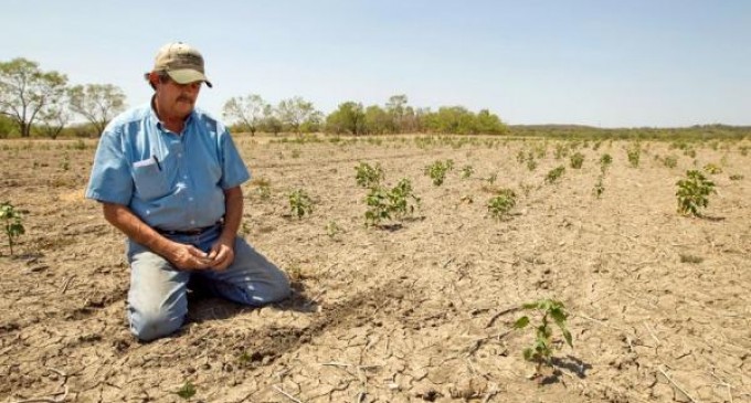„Nu toți agricultorii sunt milionari de vitrină” – Forța Fermierilor acuză Guvernul de manipulare în fața UE