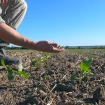 Dispută în direct pe datoriile statului față de fermieri: de la un miliard la peste patru miliarde de lei