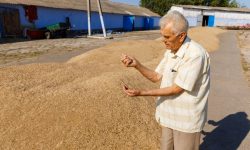 (FOTO) Promovarea agriculturii ecologice nu are vârstă! La 82 de ani, Nicolae Micu îi îndeamnă pe alții să devină ECO