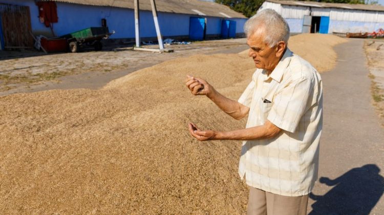 (FOTO) Promovarea agriculturii ecologice nu are vârstă! La 82 de ani, Nicolae Micu îi îndeamnă pe alții să devină ECO