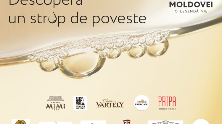 Premieră – Wine of Moldova: campanie de promovare a vinurilor în cea mai mare rețea de magazine din România