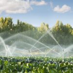 130 de milioane euro pentru o picătură în ocean! Doar 0,4% din terenurile agricole ale țării vor beneficia de irigații