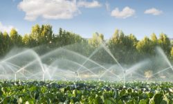 130 de milioane euro pentru o picătură în ocean! Doar 0,4% din terenurile agricole ale țării vor beneficia de irigații