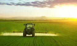 Declarație: 41 de fermieri sunt prezentați ca succes, dar mii de agricultori rămân în criză