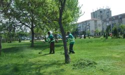 Fără construcții capitale în zonele spațiilor verzi! Un proiect de lege va fi examinat în prima lectură de Parlament