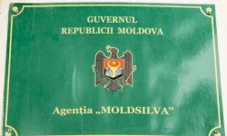 Agenția „Moldsilva” și Inspectoratul pentru Protecția Mediului s-au ales cu șefi noi. CINE sunt?
