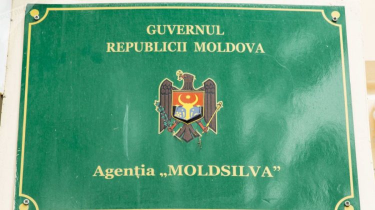 Agenția „Moldsilva” și Inspectoratul pentru Protecția Mediului s-au ales cu șefi noi. CINE sunt?