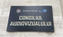 Numele candidaților propuși de Parlament pentru Consiliul Audiovizualului. Anunțul Lilianei Nicolăescu-Onofrei