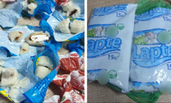 (FOTO) Alcool în pachete cu lapte și substanță interzisă în bomboane! Surprizele care îi așteptau pe unii deținuți