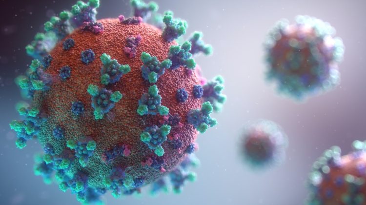 Primele secvențieri ale virusului SARS-CoV-2, efectuate la un laborator privat din Capitală. Care sunt rezultatele