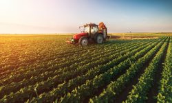 Producătorii agricoli micro și mici din Republica Moldova vor putea beneficia de subvenții din partea statului