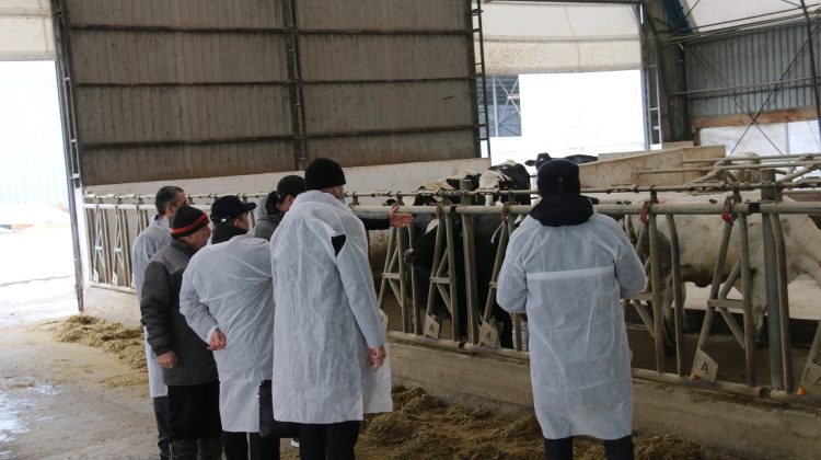(FOTO) Viorel Gherciu a vizitat ferma de bovine din satul Tomai. Cu ce s-a lăudat proprietarul