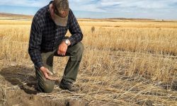 Fermierii moldoveni, cu mâna întinsă după bani. AIPA se laudă că a început achitările pentru anul 2021