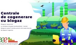 (VIDEO) În Republica Moldova avem doar 6 instalații pe biogaz de energie electrică