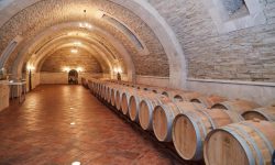 Un vinificator din Republica Moldova a înregistrat un profit de 2,7 milioane de euro