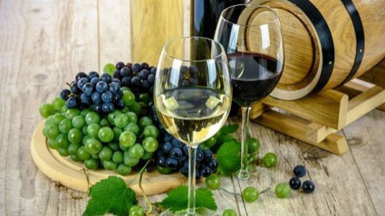 Pericol pentru producţiile de vin, măsline şi nuci. Ce se poate întâmpla