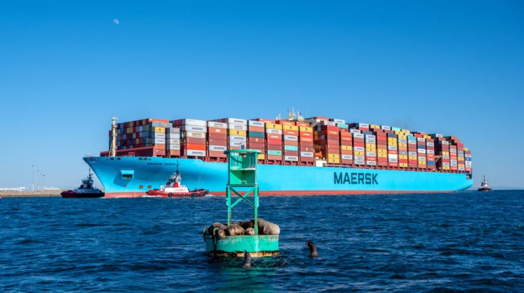 Maersk, cea mai mare companie de transport maritim din lume, suspendă transporturile de containere către şi din Rusia