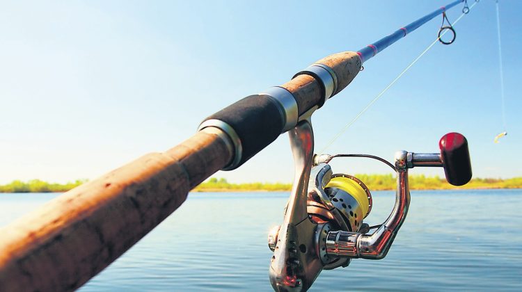 Permisele de pescuit vor putea fi obținute online. Va fi lansată platforma „e-Pescuit”