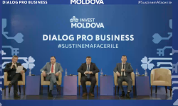 Invest Moldova Dialog Pro-Business: Discuții dintre companiile din automotive, electronică și Guvern